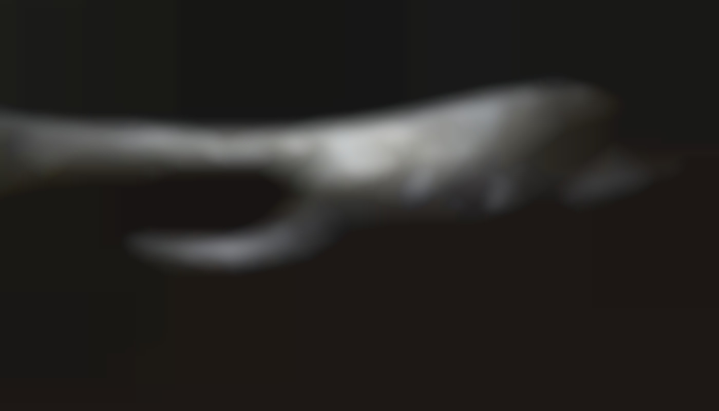 Comment choisir votre partenaire pour un dialogue érotique maghrébin ?